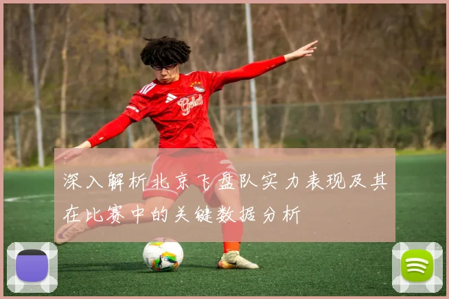 深入解析北京飞盘队实力表现及其在比赛中的关键数据分析