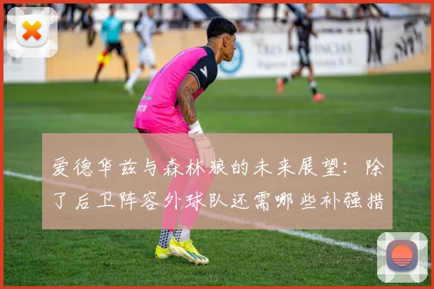 爱德华兹与森林狼的未来展望：除了后卫阵容外球队还需哪些补强措施
