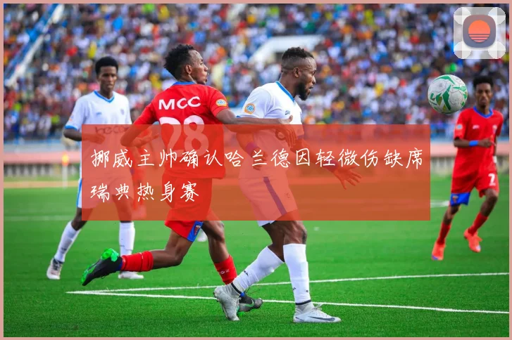 挪威主帅确认哈兰德因轻微伤缺席瑞典热身赛