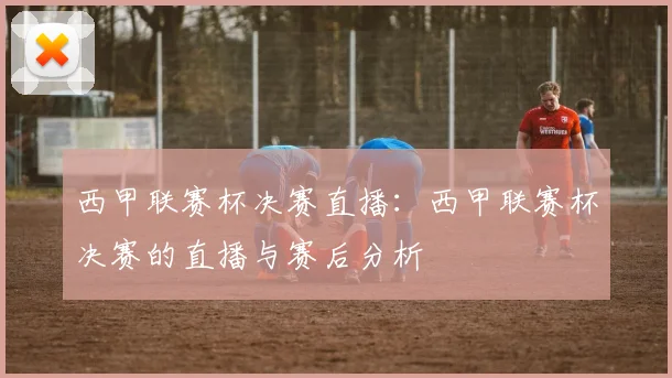 西甲联赛杯决赛直播：西甲联赛杯决赛的直播与赛后分析